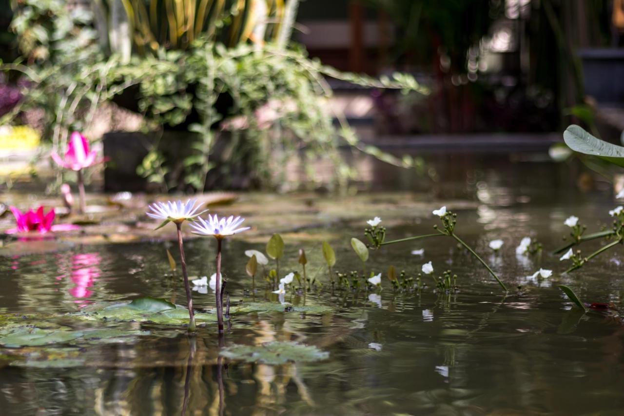 Hidden Padma Retreat Hotel Ubud Kültér fotó